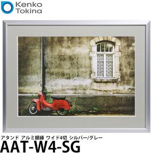 FUJIFILM（フジフイルム） フジカラー アルミ額縁 A300(ワイド4切