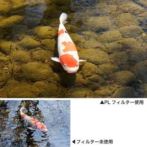 ケンコー・トキナー 58S Kenko PRO...の詳細画像4