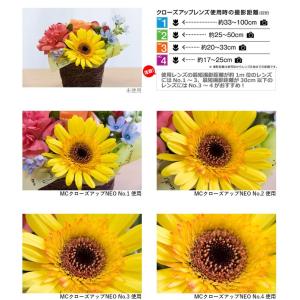 ケンコー・トキナー 49 S MC C-UP ...の詳細画像1