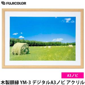 フジカラー YM-3 木製額縁 A3
