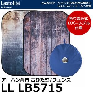 ラストライト 【代金引換不可・同梱不可】 Lastolite LL LB7761
