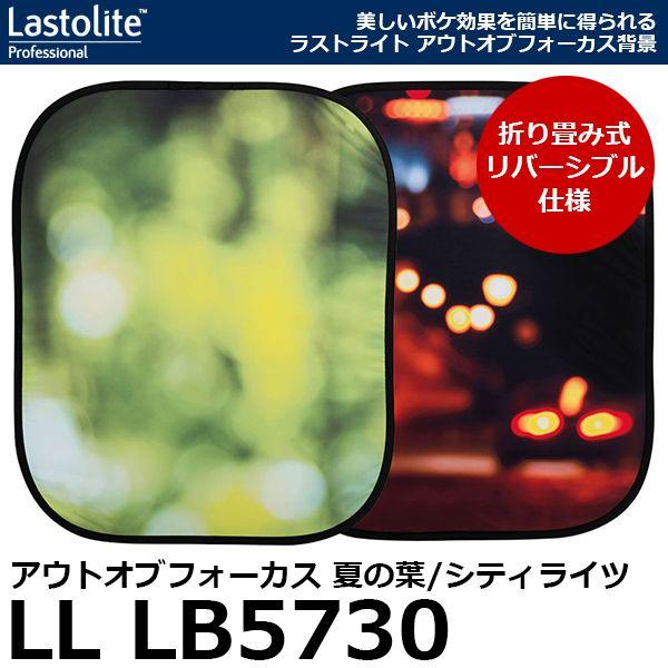 Lastolite LL LB5730 アウトオブフォーカス背景 折畳式 1.25×1.55m 夏の...