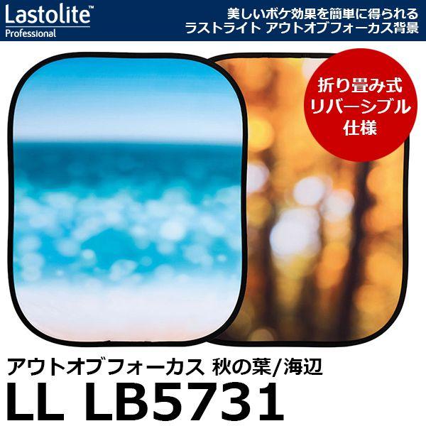 Lastolite LL LB5731 アウトオブフォーカス背景 折畳式 1.25×1.55m 秋の...