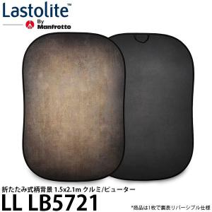 ラストライト 【代金引換不可・同梱不可】 Lastolite LL LB7761
