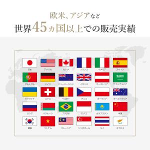 スカルプブラシ エスハートエス 公式 シャンプ...の詳細画像3