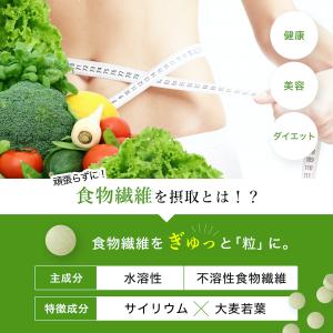 食物繊維サプリ ダイエット ビフィズス菌 シー...の詳細画像1
