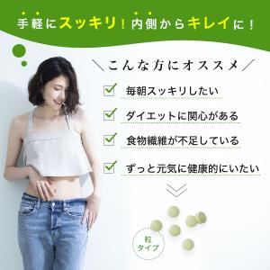 食物繊維サプリ ダイエット ビフィズス菌 シー...の詳細画像2