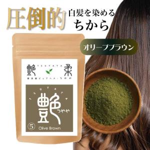 ヘナ 白髪染め ホームキット (50g＋50g) No.4ショコラブラウン つやや