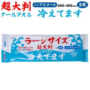 iiもの本舗 ラージサイズ 冷感タオル ノンアル...の商品画像