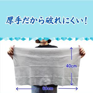 iiもの本舗 ラージサイズ 冷感タオル ノンア...の詳細画像4