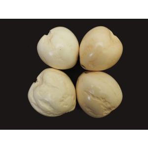 ブリーチド・ナチュラルホワイト・ラフククイナッツ（４ケ入り）