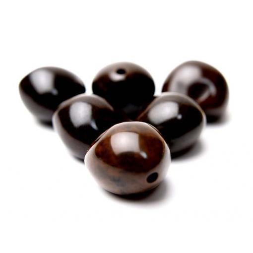 ブラウン ククイナッツ（６ケ入り）