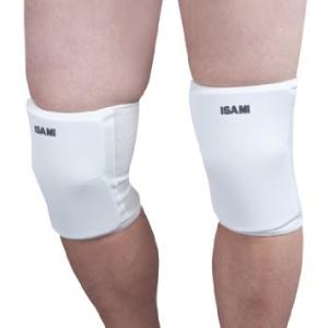 ISAMI イサミ TT-300 レギュラーヘッドガード （ヘッドカバー付） 黒 S