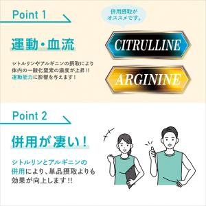アルギニン (500g) SAVE アルギニン...の詳細画像1