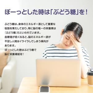 ブドウ糖 2kg SAVE 高純度99.9% ...の詳細画像2