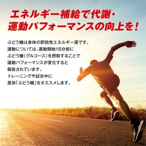 ブドウ糖 2kg SAVE 高純度99.9% ...の詳細画像3