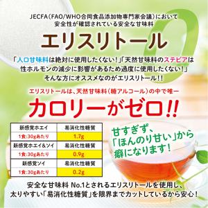 SAVE 新感覚プロテイン 新感覚ソイ風味 ソ...の詳細画像5