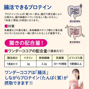 SAVE ワンダー ココア 950g 天然甘味...の詳細画像5