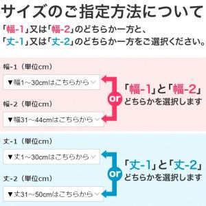 カーテン ロールスクリーン 糸入り 防炎 透明...の詳細画像4