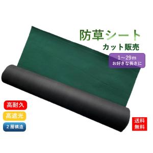 高耐久 雑草対策 雑草防止 防草シート 除草シート 雑草シート [カット販売:１m単位~29mまで]