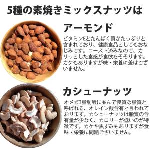 【セール開催中!】5種の素焼きミックスナッツ750gの詳細画像3