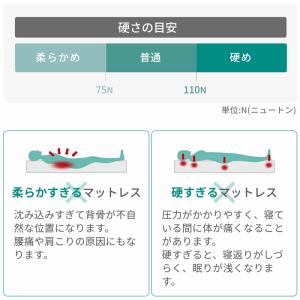 【日本製】腰を支える バランス マットレス シ...の詳細画像2