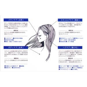 フロムアース スパッシュ SPASH 1000...の詳細画像2