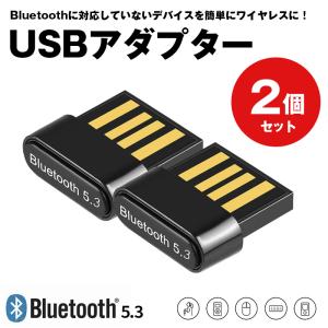 Bluetooth 5.3 USB アダプター 2個セット レシーバー 子機 コントローラー マウス 送信機 超小型 ブルートゥース  ワイヤレス ミニマリスト｜sheruby-web