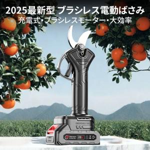 【正規品】剪定ばさみ 充電式 電動剪定ハサミ ...の詳細画像2