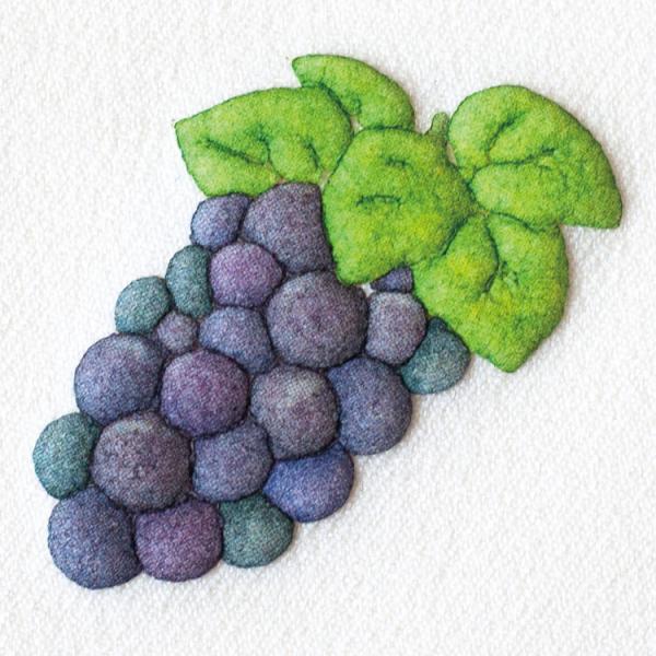 ふくらむ不思議なワッペン ぶどう 6枚セット アイロン接着 葡萄