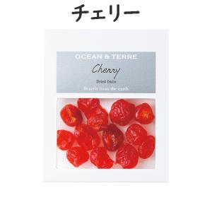 ドライフルーツ プチギフト どれか1袋 種類は...の詳細画像2