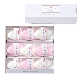鯛の形 紅白 最中 お吸い物 詰め合わせ ギフト 9個入 Cセット 結婚式 引出物 御歳暮