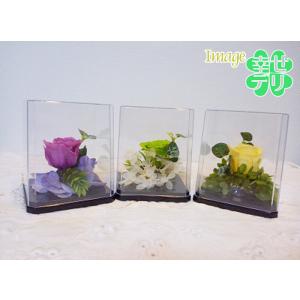入院 お見舞い プリザーブドフラワーの商品一覧 通販 Yahoo ショッピング