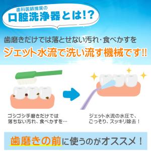 口腔洗浄器 NEWハイドロフロス ウォータージ...の詳細画像5