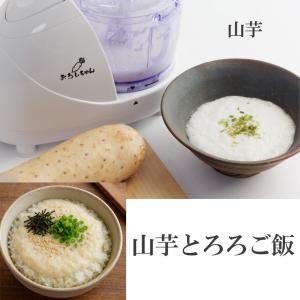 電動大根おろし器 おろしちゃん マルチ フード...の詳細画像5