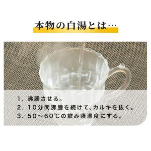 白湯メーカー 電気ケトル 白湯ケトル 温活ze...の詳細画像1