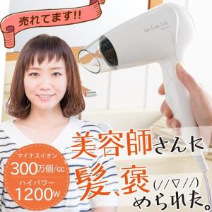 ドライヤー マイナスイオンドライヤー ヘアドライヤー SHD-3100 ホワイト