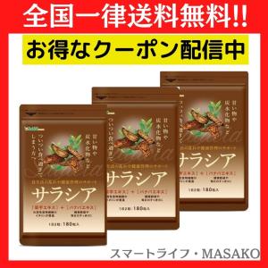 サプリ サラシア 3袋セット 菊芋エキス バナバエキス 配合 サプリメント ダイエット シードコムス