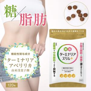 ターミナリアスリムプラス 120粒 ダイエット 内臓脂肪 血糖値 中性脂肪 BMI