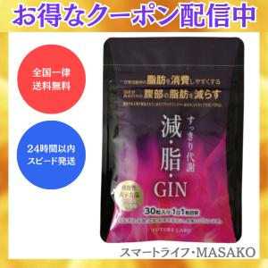 減脂GIN 30粒 減脂ジン ゲンシジン ブラックジンジャー ポリメトキシフラボン｜shibastore
