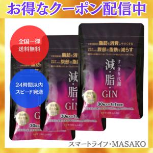 減脂GIN 30粒 3袋 減脂ジン ゲンシジン ブラックジンジャー ポリメトキシフラボン｜shibastore