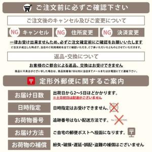 ELLISS エルリスビタミンC 30包 リポ...の詳細画像1