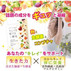 キレイを届ける生酵素 PREMIUM 60粒 ...の詳細画像1