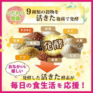 キレイを届ける生酵素 PREMIUM 60粒 ...の詳細画像3