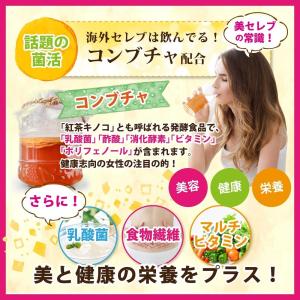 キレイを届ける生酵素 PREMIUM 60粒 ...の詳細画像4