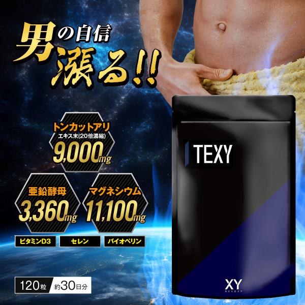 TEXY テクシィ 120粒 30日分 サプリ サプリメント テストステロンブースター トンカットア...