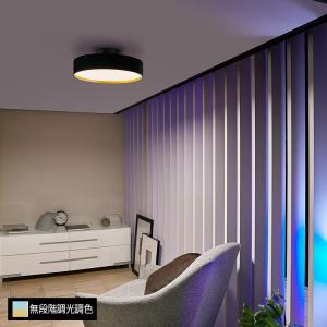 AW-0515Z-BS ARTWORKSTUDIO(アートワークスタジオ) Groove-ceiling