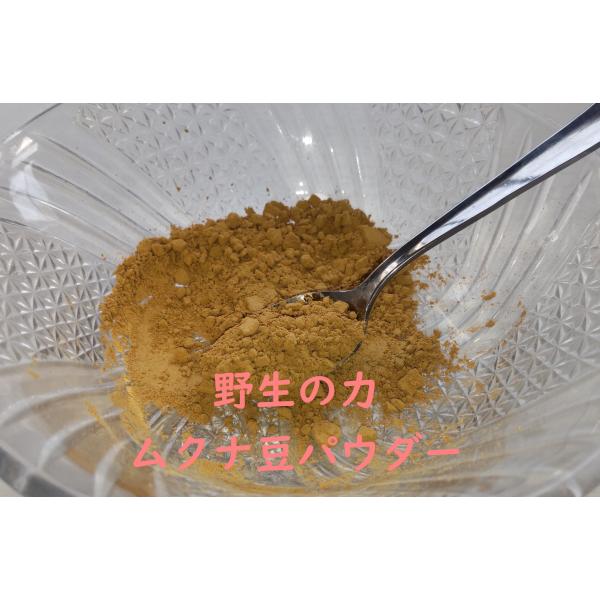 ムクナ豆パウダー　45g　農薬化学肥料未使用栽培　農家直売 　無農薬　野生の力