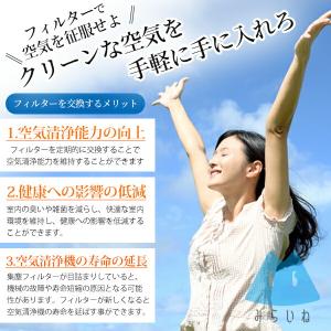 【6枚】 シャープ対応 FZ-PF10MF 空...の詳細画像3