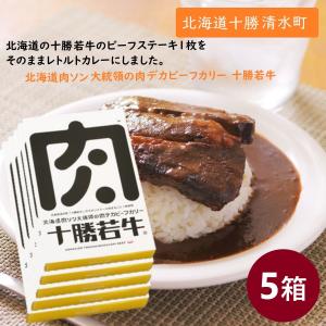 北海道 肉ソン大統領の肉デカビーフカリー 5人前 レトルトカレー 牛肉 和牛 ステーキ肉 十勝和牛 ご当地 限定 ギフト お土産 お取り寄せ プレゼント テレビ紹介